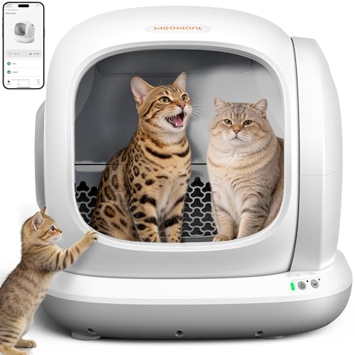 MeoWant Self-Cleaning Litter Box (75L, Automatic Rake, App-Controlled)