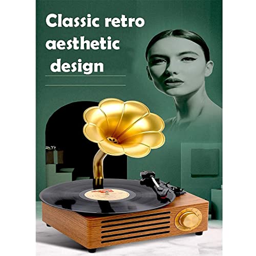 Tourne-Disque rétro, phonographe de Style Classique Vintage, Prise en Charge du Lecteur de Vinyle 3,5 mm Audio Bluetooth… - Les Beatles, Paul McCartney, John Lennon, RIngo Starr, George Harrison Tourne-Disque rétro, phonographe de Style Classique Vintage, Prise en Charge du Lecteur de Vinyle 3,5 mm Audio Bluetooth… – Image 7