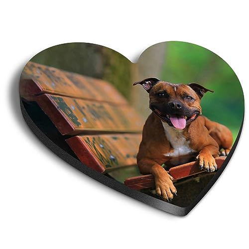 1x Heart MDF Magnet 6cm - Happy Red Staffy Dog Bull Terrier - Fridge Locker Office Whiteboard Toolbox #51136
