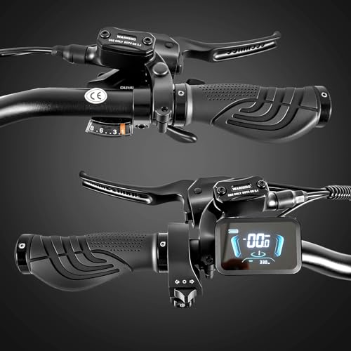 20''E-Bike Klapprad, Faltbares City Elektrofahrrad mit 48 V 20Ah Lithium Akku, Doppelsensoren, 8-Gang Getriebe, 250W Motor, 4.0" Fettreifen, Pedelec EBike für Erwachsene, Herren Damen. – Bild 6