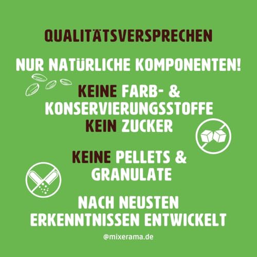 Mixerama Rennmäuse Gourmet Menü - artgerechtes Mäusefutter für die Rennmaus Gerbil ohne Pellets Kleintierfutter Alleinfutter Größe 500 g