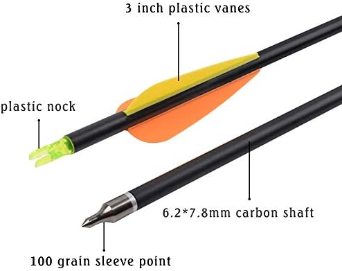 Carbon Arrow Hunting Arrows Spine 500 with 100 Grain Removable Tips for Archery Compound Bow Recurve Bow Practice Shooting (Pack of 12)