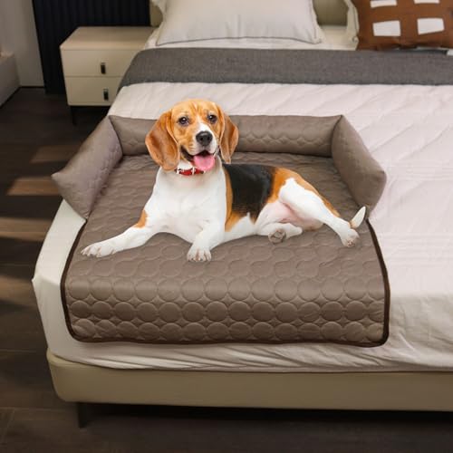 Lit pour chien rafraîchissant contre la chaleur : tapis coussin antidérapant lavable en chambre - 3