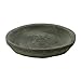 HomArt Rustic Terra Cotta Saucer, 9-Inch, Moss Grey, 1-Count