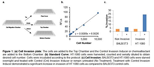 BioVision EZCellTM Cell Invasion Assay Kit (Collagen I), 24-well, 8 µm, K917-24