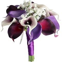 Purple Calla Lily