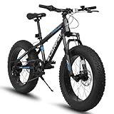 A20316 20 Inch Fat Tire Bike Adult Youth Full 7 Speed Mountain Bike, Dual Disc Brake, High-Carbon Steel Frame, Front Suspension, Mountain Trail Bike, Urban Commuter City Bicycle,Fat tire bike (Black)