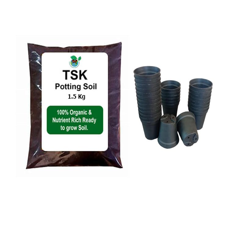TSK 2" Nursery Pot (Black) 25 pots + 1.5 kg Potting Mix | Nutrient Rich Soil and Nursery pots for Growing Seeds | Combo Pack of Pot and Soil | (PSP25)