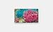 WHO'S HIDING? Under the Sea: A Lift-the-Flap Book (Lift-and-See)