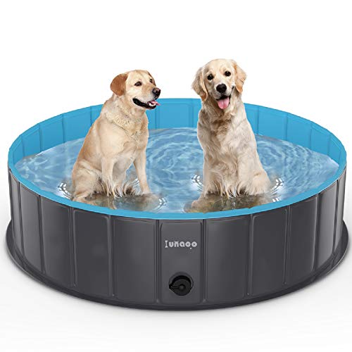 The 10 Best Dog Pool For Large Dogs in 2024 Buyer’s Guide & Reviews