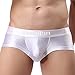 ZONBAILON Men's Sexy Bulge Pouch Underwear Low Rise Trunks Short Leg Boxer Briefs (White, L (waist 36