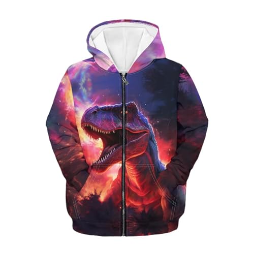 HUIACONG 14-16 Hoodies for Teen BoysDinosaur Sweatshirts Zip Up Hoodies Galaxy Purple Novelty Jacket for Kids Long Sleeve Shirt Hooded with Pocket Athletic Clothes Tops3