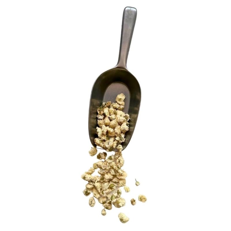Tisane Camomille Romaine 100 GRS capitule floral ENTIER EXTRA Anthemis no