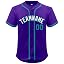 Purple/Teal-18