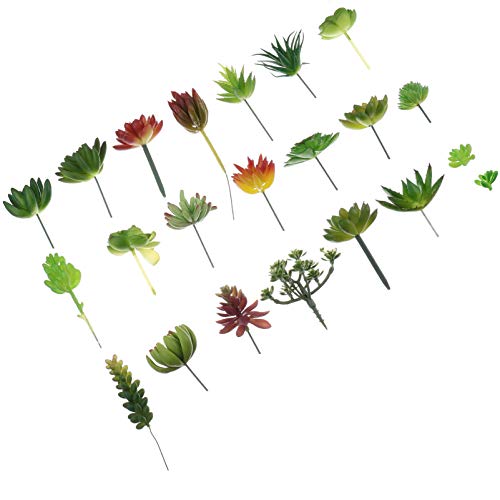 Yardwe 20 Unidades de Plantas Suculentas Artificiais Plantas Falsas Cacto Texturizado Realista Rosto