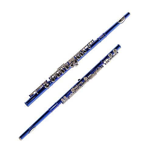 image for LeSage Closed Hole C Flutes 16 Key Blue Flute for Student Flute Beginn