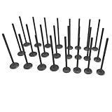 McrGinly 24 x Engine Intake Valves and Exhaust Valves Kit Compatible with Volvo XC60 S60 30650940 30684133