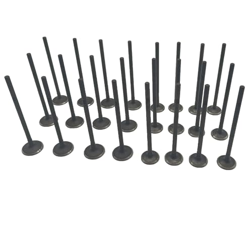 McrGinly 24 x Engine Intake Valves and Exhaust Valves Kit Compatible with Volvo XC60 S60 30650940 30684133