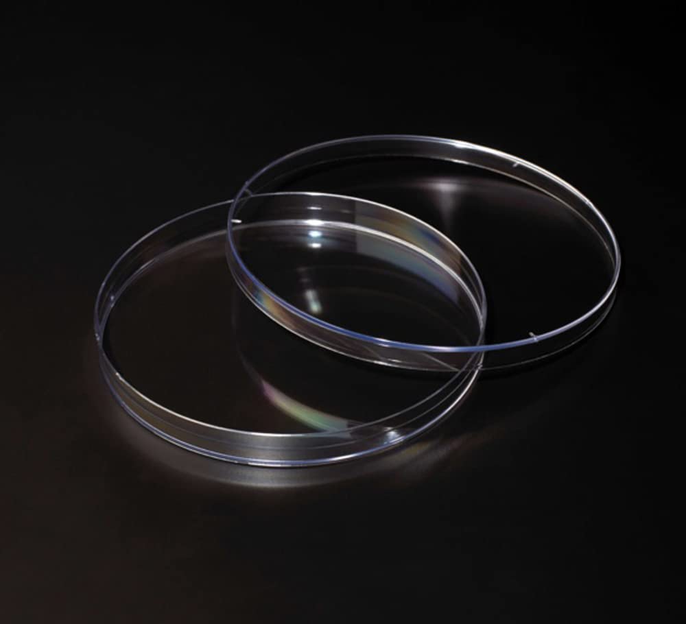 CELLTREAT 229656 150 mm x 15 mm Petri Dish, Sterile, 14.9 cm L, 1.6 cm H, 14.9 cm W, 25 mL, Polystyrene (Pack of 100)