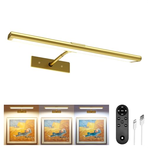 EZVALO Picture Lights for wall Rechargeable Picture Light with Remote Dimmable & 3 Color Temps 180 Adjustable Magnetic Wall Lights for Dartboard Frame Gallery (1 Pack Gold)