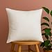 Trendy Home 16" x 16" Premium Hypoallergenic Stuffer Home Office Decorative Throw Pillow Insert, Standard/White (16x16)