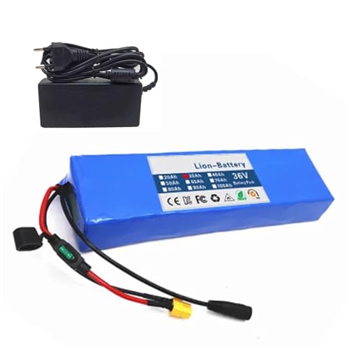 PLSZLL Batería de Litio para Bicicleta eléctrica de 48 V y 30 Ah, 13S2P, con Cargador, para Scooter eléctrico (XT60+DC)
