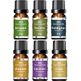 Essential Oils for Laundry – 6 Most Popular 100% Pure Therapeutic Grade Aromatherapy Oils, Lavender, Tea Tree, Eucalyptus, Bergamot, Lemon, Chamomile for Dryer Balls, Diffusers, Soaps, Candles