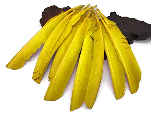 1/4 Lb - Yellow Turkey Pointers Wing Quill Large Wholesale Feathers (Bulk) Halloween Craft Party Costume Supplier | Moonlight Feather #TOP1