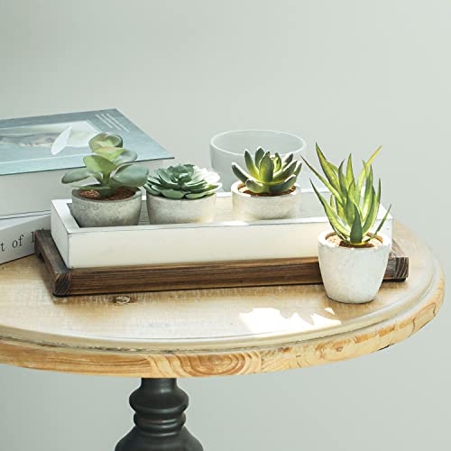 Mygift 6 Piece Plant Set Assorted Artificial Succulent Plant In Mini Concrete Pots With Whitewashed Wood Display Box And Burnt Wood Tray, Small Accent Decor For Bedroom, Living Room And Bathroom #TOP2