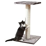 Comment Choisir Un Griffoir Pour Chat