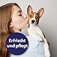 Canosept Ohrreiniger für Hunde 125ml - Lösung zur Ohrenpflege & Hunde Ohrenreinger & Löst Schmutz und natürliche Rückstände im Hundeohr - Ohrentropfen für Hunde - Hund Ohrenentzündung