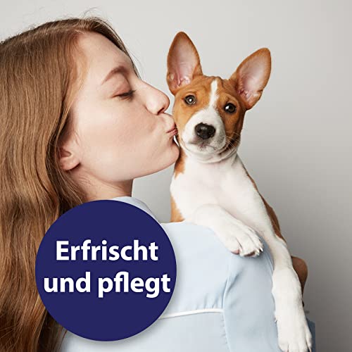 Canosept Ohrreiniger für Hunde 125ml - Lösung zur Ohrenpflege & Hunde Ohrenreinger & Löst Schmutz und natürliche Rückstände im Hundeohr - Ohrentropfen für Hunde - Hund Ohrenentzündung