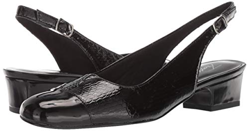 Image of Trotters