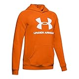 Under Armour Boys' Rival Logo Hoodie