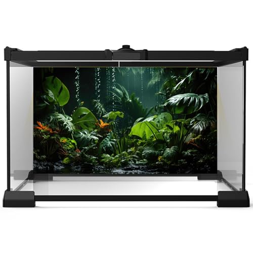 Image of Raining Forest Aquarium Background Tropical Green Palm Leaf Fish Tank Background Rainy Jungle Leaves Nature View Reptile Tank Backgrounds Foggy Misty Rainforest Reptile Enclosure Backgrounds 36x18in