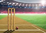CORFOTO Stoff 2.7x1.8m Cricket Stadion Hintergrund Pfosten Ball Sportarena Szene Fotohintergrund für Cricket-Thema Kindergeburtstagsparty Foto Requisiten