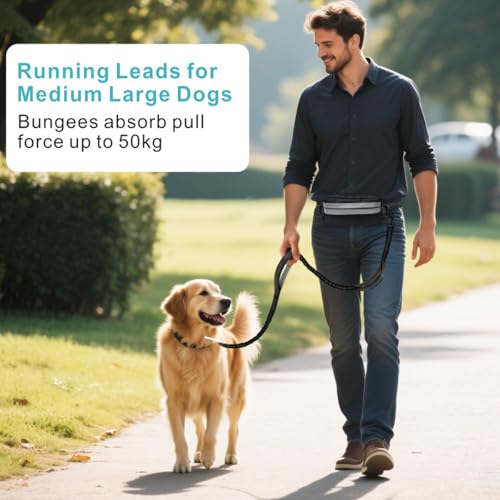 Fiyade Joggingleine Hunde, Freihändige Hundeleine, Laufhundeleine mit Hüftgurt, Abnehmbare Hüfttasche, Bungee-Laufleine Hundeleinen für Mittelgroße Große Hunde bis zu 50 kg