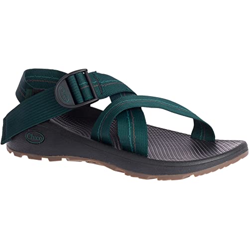 Image of Chaco Women's Zcloud Sandal