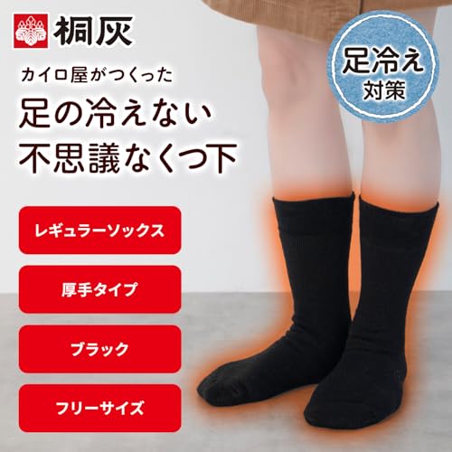 不思議なくつ下 桐灰 足の冷えない レギュラーソックス 厚手