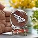 HDCRYSTALGIFTS 3D Laser Butterfly Crystal Ball Paperweight Glass Sphere Figurines Decorative Balls Gift (60mm)