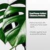 8oz Leaf Shine Spray for Indoor Plants - Plant Leaf Cleaner and Shine for Indoor Houseplants - Makes Leaves Shiny, Vibrant & Healthy #3