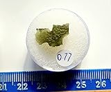  Jurassic Jewellery Super Stück Moldavit-Tektit – 0,77 g – echtes Material