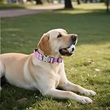 AKOFIC Taktisches Hundehalsband mit Griff, Breites Halsband Hund Gepolstert aus Nylon, Verstellbar Robuster Dog Collar mit Metallschnalle für Mittlere Große Hunde (Lila, XL)