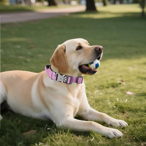 AKOFIC Taktisches Hundehalsband mit Griff, Breites Halsband Hund Gepolstert aus Nylon, Verstellbar Robuster Dog Collar mit Metallschnalle für Mittlere Große Hunde (Lila, XL)