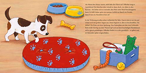 LESEMAUS 176: Der kleine Hund - alles, was du wissen willst (176)