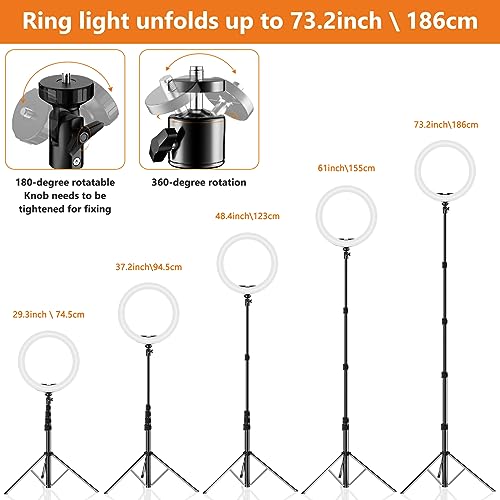 PEYOU 12" Selfie Ring Light with Tripod Stand & Phone Holder Tall 186cm/73", Desk Ring Light 48 RGB Colors - Image 3