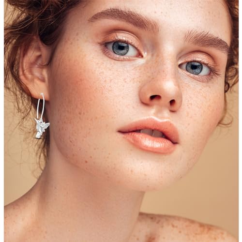 Hapour 925 Sterling Silver Hummingbird Hoop Earrings for Women, Peace Dove Bird Dangle Earrings Hypoallergenic Jewelry Memorial Hummingbirds Gifts for Her2