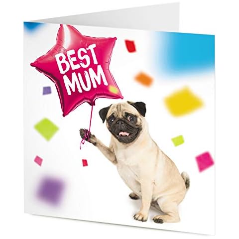 TigerMill Publishing Pug dog Best Mum greeting card - Happy Birthday, Mother's Day, Thank You Cover
