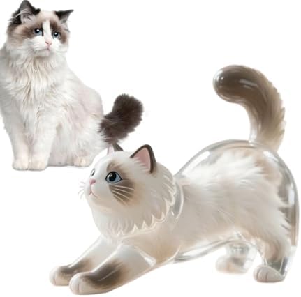 Porte-clés Poils De Chat - Porte-Clés Avec Poils De Chien - Pendentif Mémoire En Acrylique Transparent Porte-Clés Pour Sac à Dos Ou Sac à Main