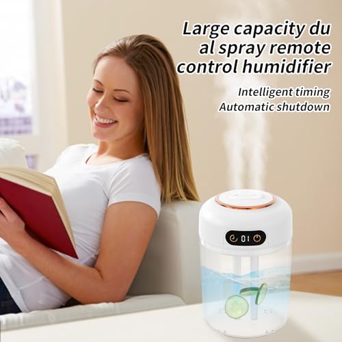 Humidificateur contre l'air sec avec télécommande et double buse